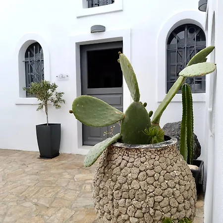 Villa The Wine Cellar House By A Terre Cave *