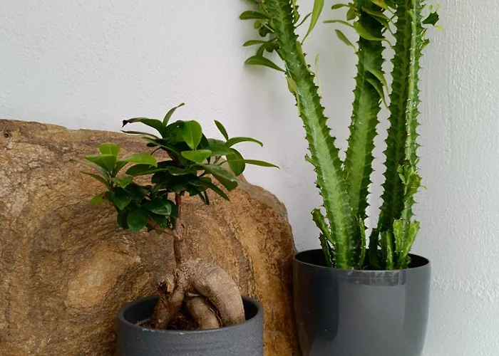 Villa The Wine Cellar House By A Terre Cave *